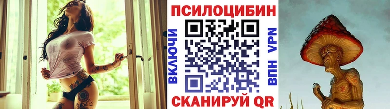 купить  сайты  Верея  Псилоцибиновые грибы MAGIC MUSHROOMS 